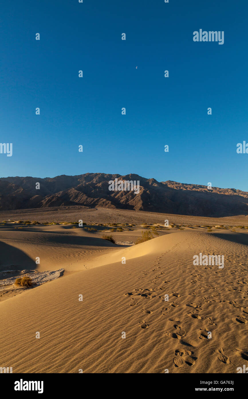 Mesquite Sand Dunes in Death Valley National Park, California, USA Banque D'Images