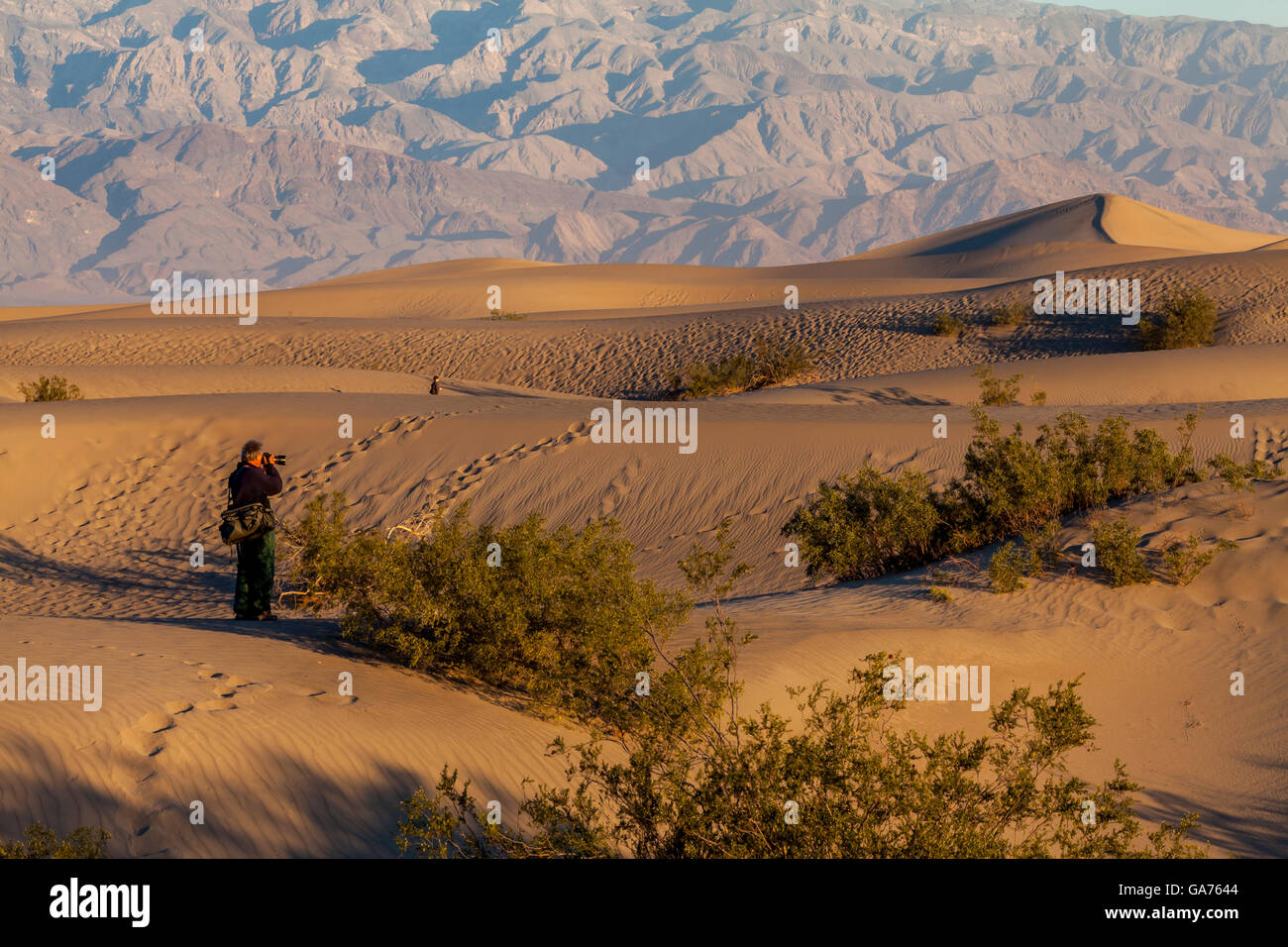 Photographe à prendre des photos de la Mesquite Sand Dunes in Death Valley National Park, California, USA Banque D'Images