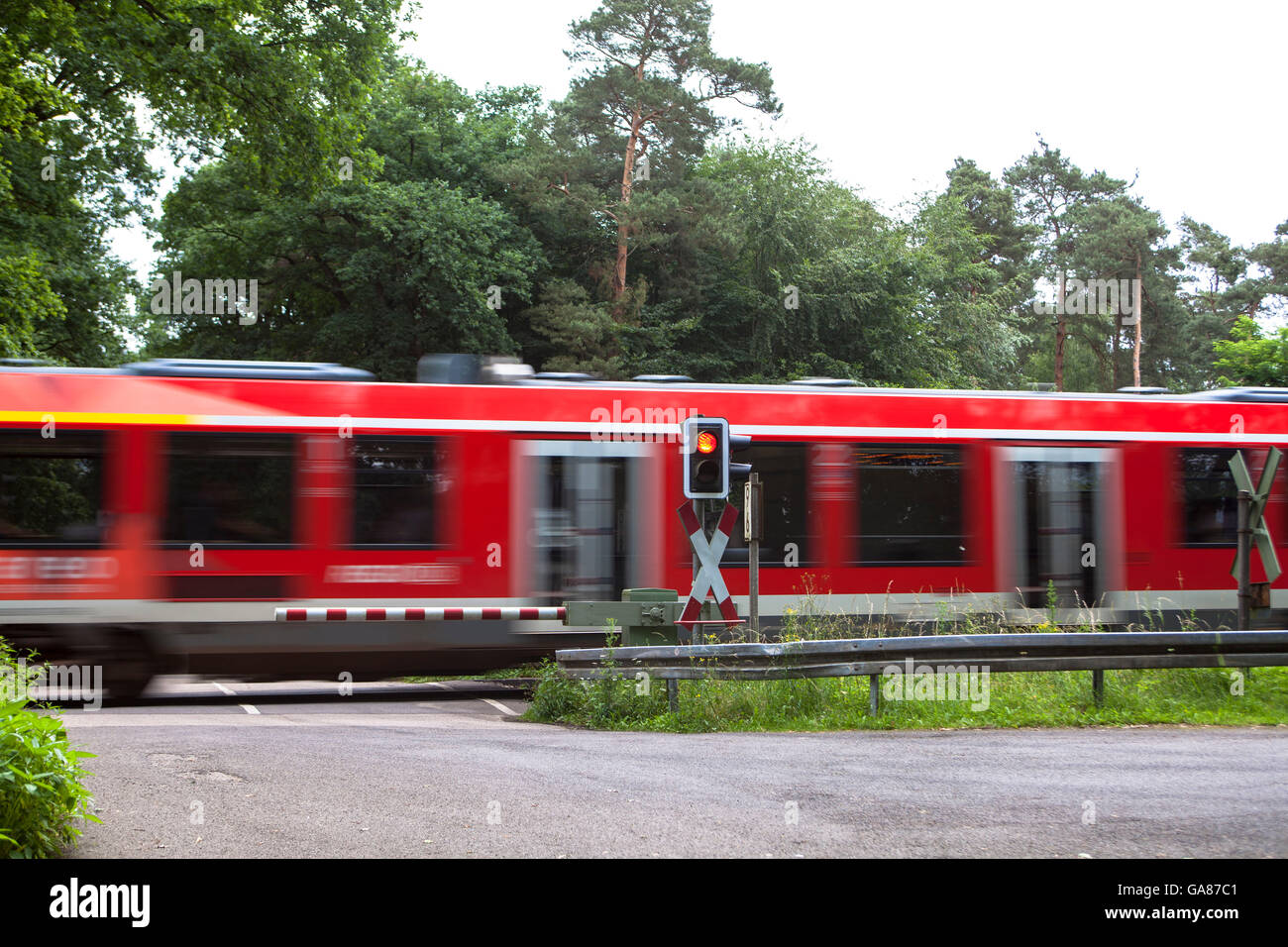L'Europe, l'Allemagne, en Rhénanie du Nord-Westphalie, Roesrath, gated railroad crossing dans le Koenigsforst. Banque D'Images