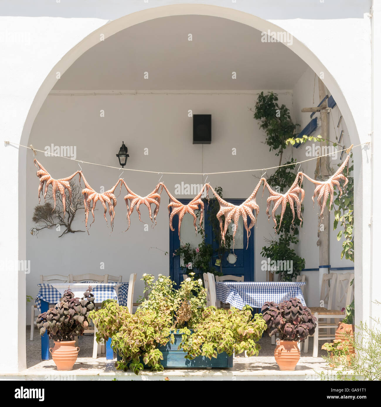 La cuisine grecque traditionnelle poulpe séchant au soleil. Banque D'Images