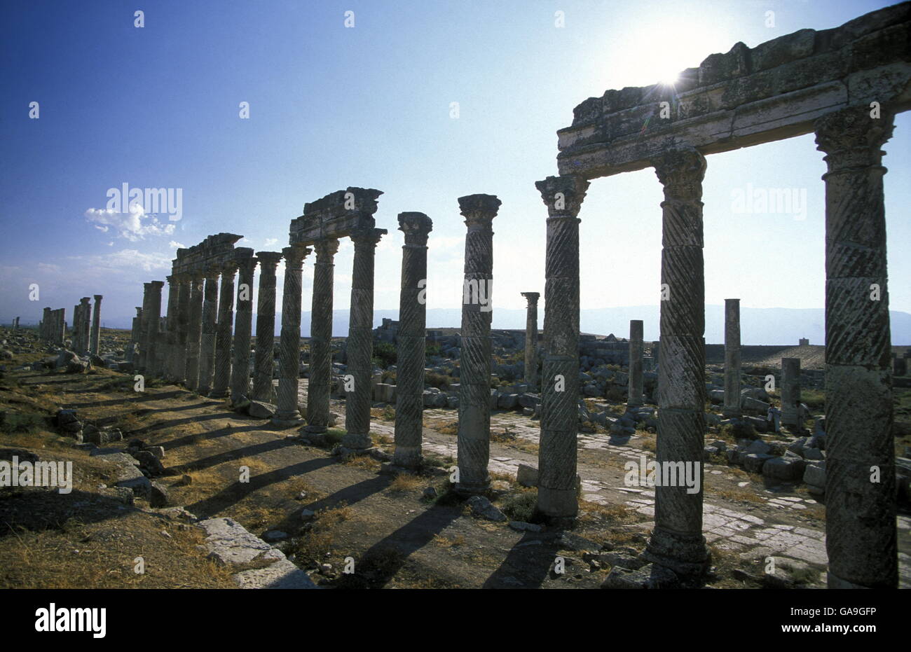 Les ruines d'Apamée près de la ville de Hama en Syrie au Moyen-Orient Banque D'Images