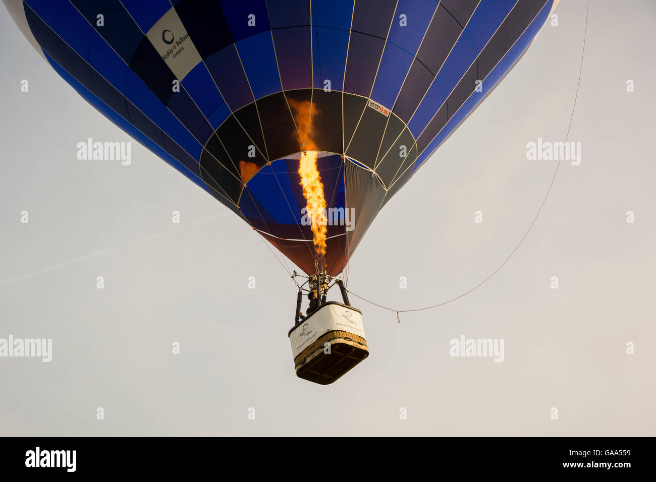 Le Durdham, Clifton, Bristol, Royaume-Uni. 5 Août 2016 L'ascension de masse de ballons pour lancer l'Assemblée Bristol International Balloon Fiesta. Credit : Carolyn Eaton/Alamy Live News Banque D'Images