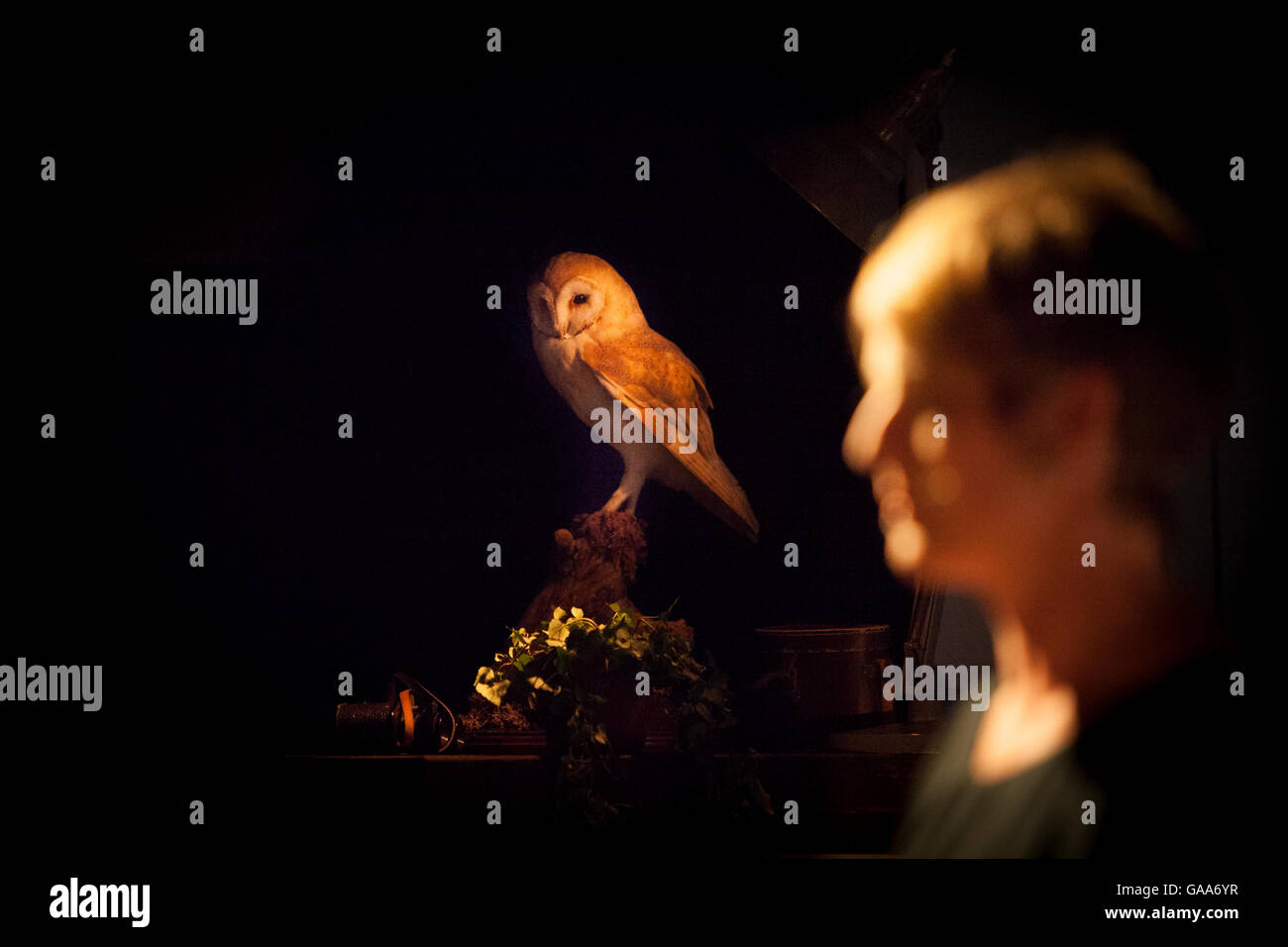 Edinburgh, Royaume-Uni. 5 août 2016. Appuyez sur appel en tant que partie d'Edinburgh International Festival appelé résistance au vent s'affichera dans le Lyceum Theatre d'Édimbourg. Francis Cabrel. Pako Mera/Alamy Live News Banque D'Images