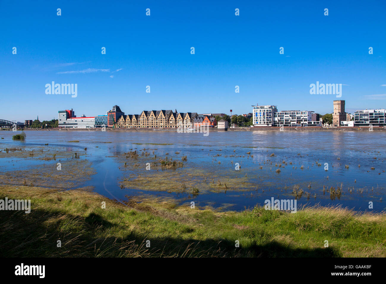 Allemagne, Cologne, vue sur le Rhin de l'immeuble de bureaux dans la région de Rheinau Harbour Banque D'Images
