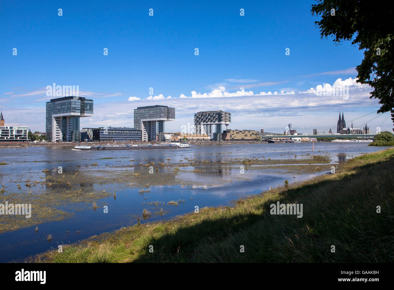 Allemagne, Cologne, vue depuis les rives du Rhin à l'Rheinau Harbour avec la grue maisons et la cathédrale Banque D'Images