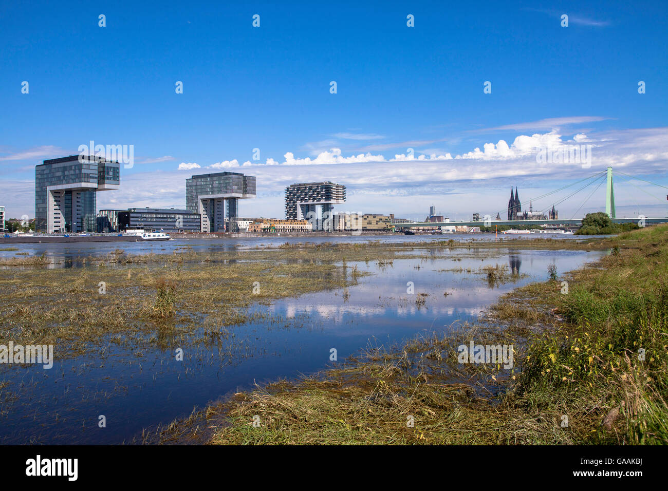 Allemagne, Cologne, vue depuis les rives du Rhin à l'Rheinau Harbour avec la grue maisons et la cathédrale Banque D'Images