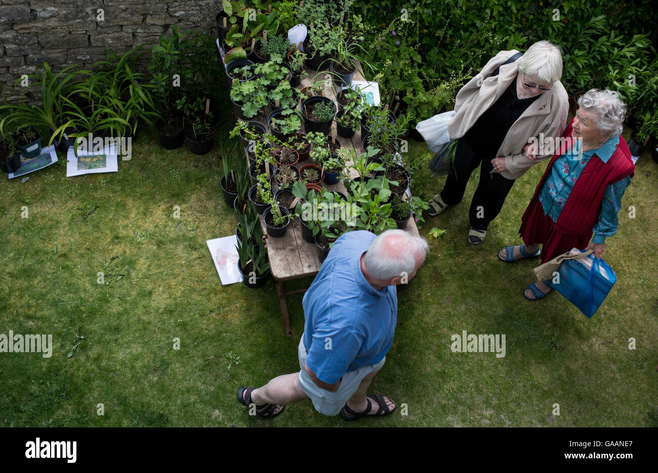 Deux femmes âgées marche bras dessus bras dessous passé un homme tout en faisant des emplettes pour les plantes lors d'une fête du village de Morth Matravers, Dorset, Angleterre, Banque D'Images