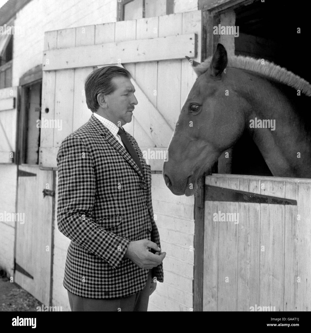 Capitaine James Thain, pilote dans la catastrophe aérienne de Munich impliquant Manchester United en 1958 avec un de ses chevaux dans sa ferme de Warfield, près de Windsor. Banque D'Images