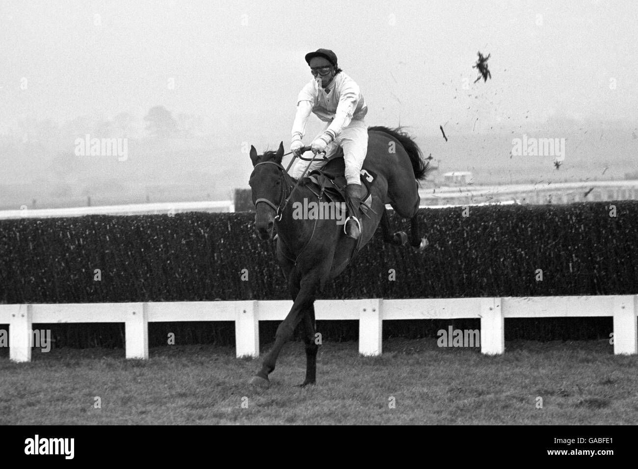 M. Morris fait du cheval Skymas en prenant la dernière clôture à la course de 2 miles de National Hunt à Cheltenham pour gagner. Banque D'Images