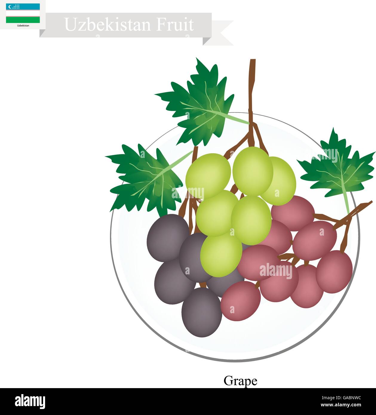 L'Ouzbékistan, mûrs et de fruits raisin sucré. L'un des fruits les plus populaires de l'Ouzbékistan. Illustration de Vecteur