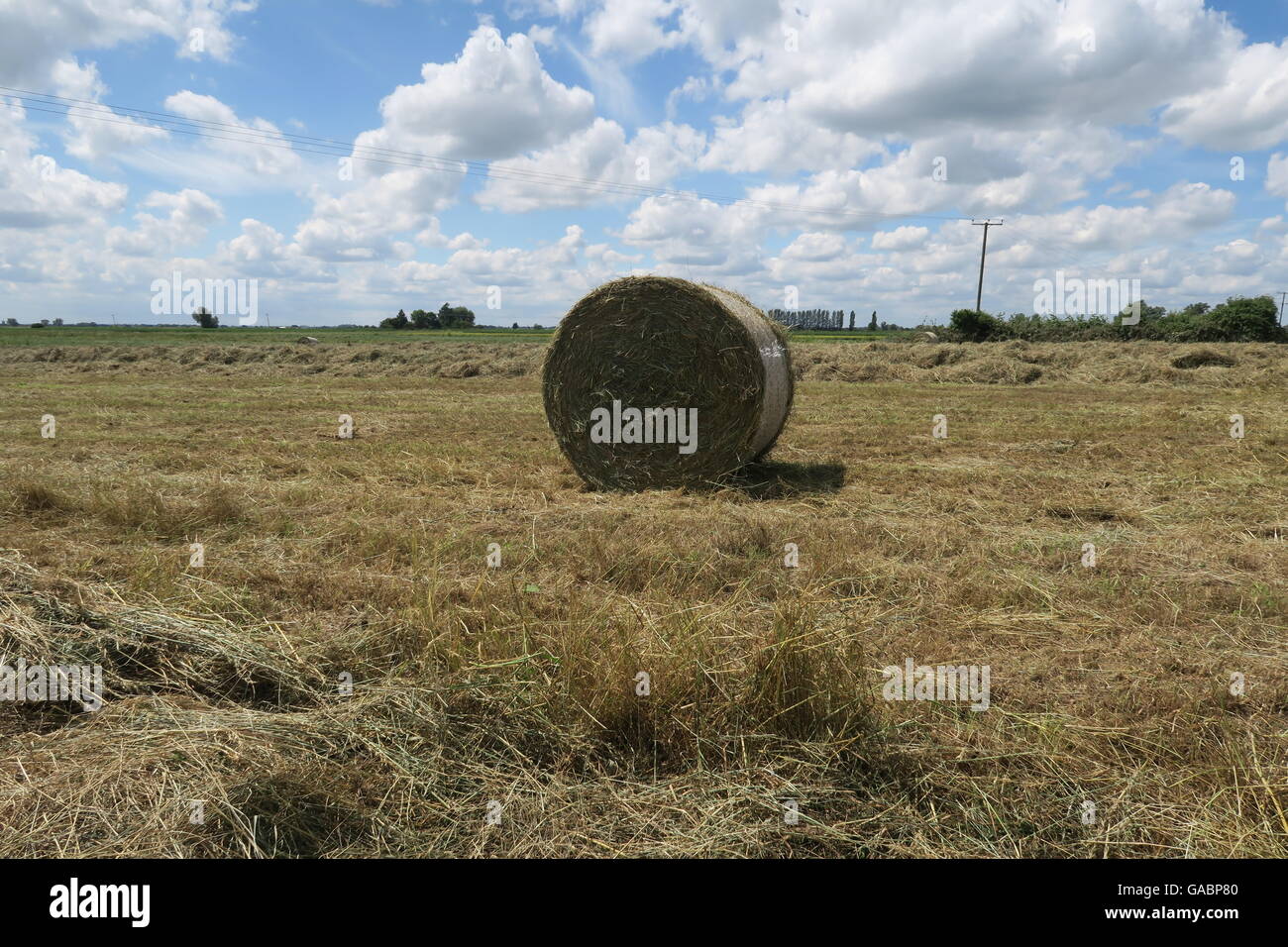 Cambridgeshire hay bales Banque D'Images