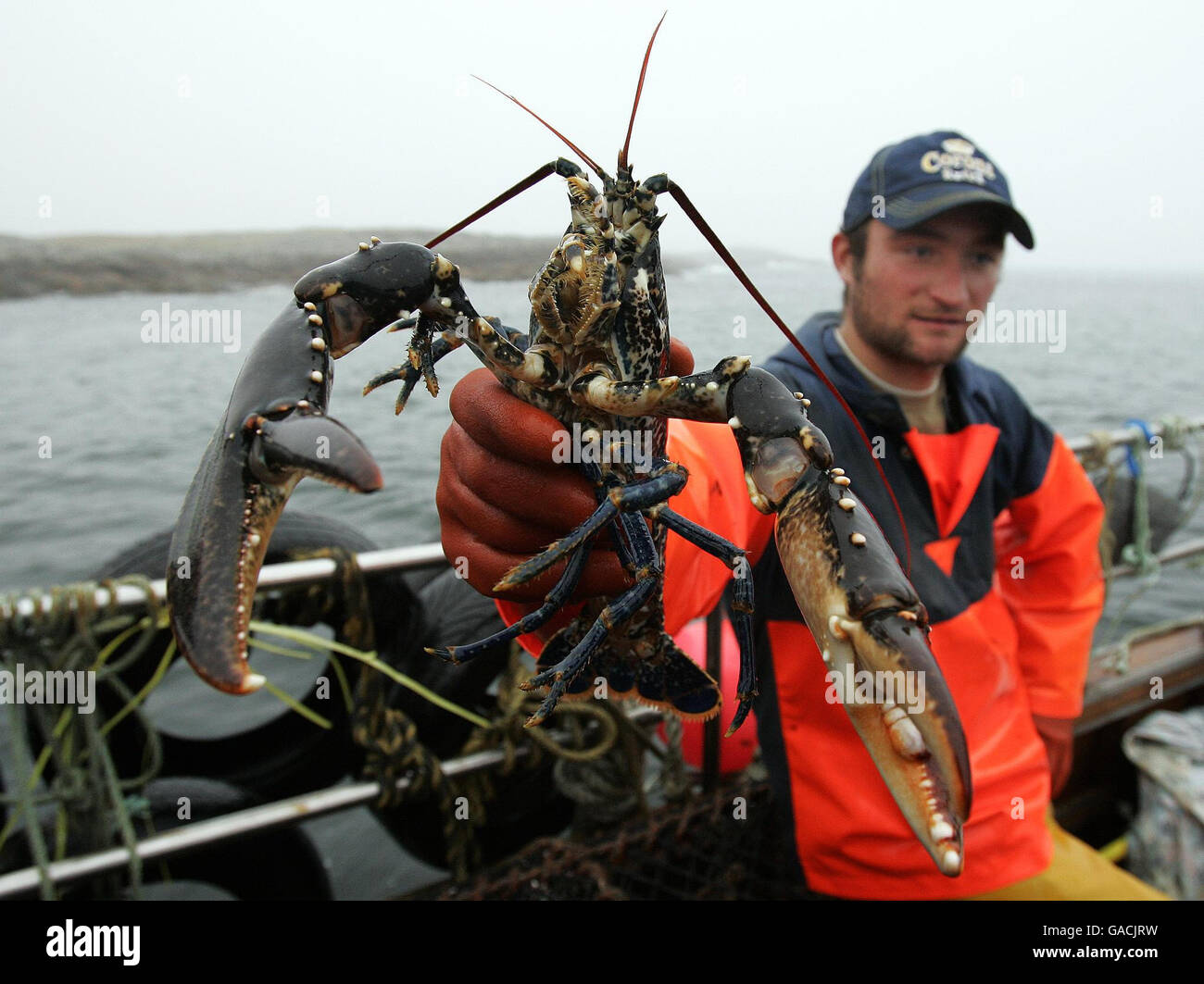 La pêche du homard dans l'Océan Atlantique Banque D'Images