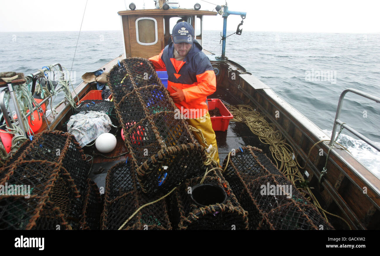 Pêcheur de homard Ross MacLennon Skipper du bateau « Carrie Anne » De Milton Harbour sur l'île de Tiree avec matelet William Walker (portant un chapeau) débarque du homard dans l'océan Atlantique Banque D'Images