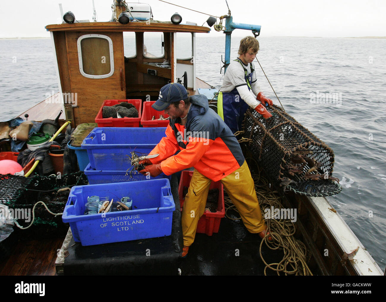 La pêche au homard - Isle of Tiree Banque D'Images
