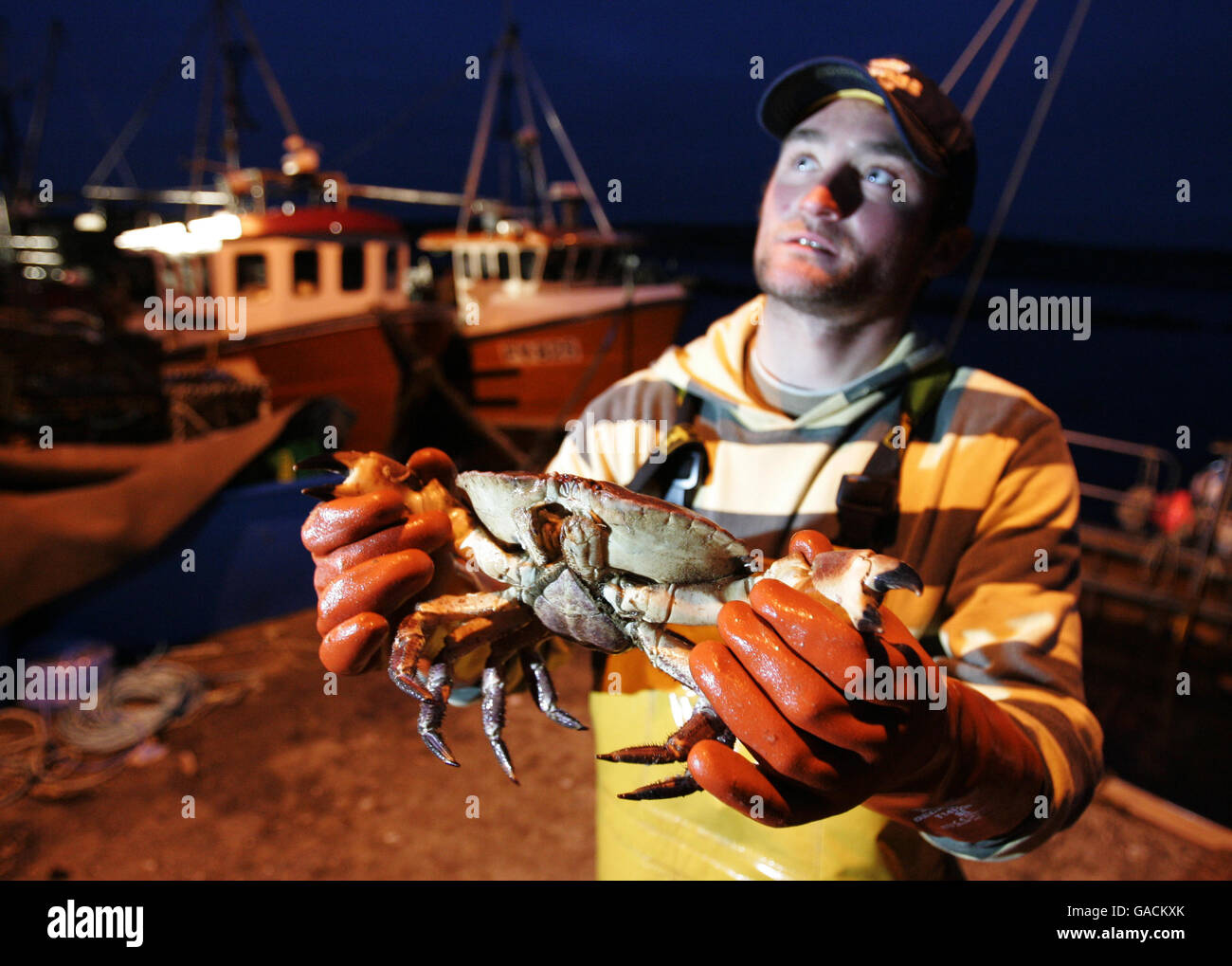 La pêche au homard - Isle of Tiree Banque D'Images