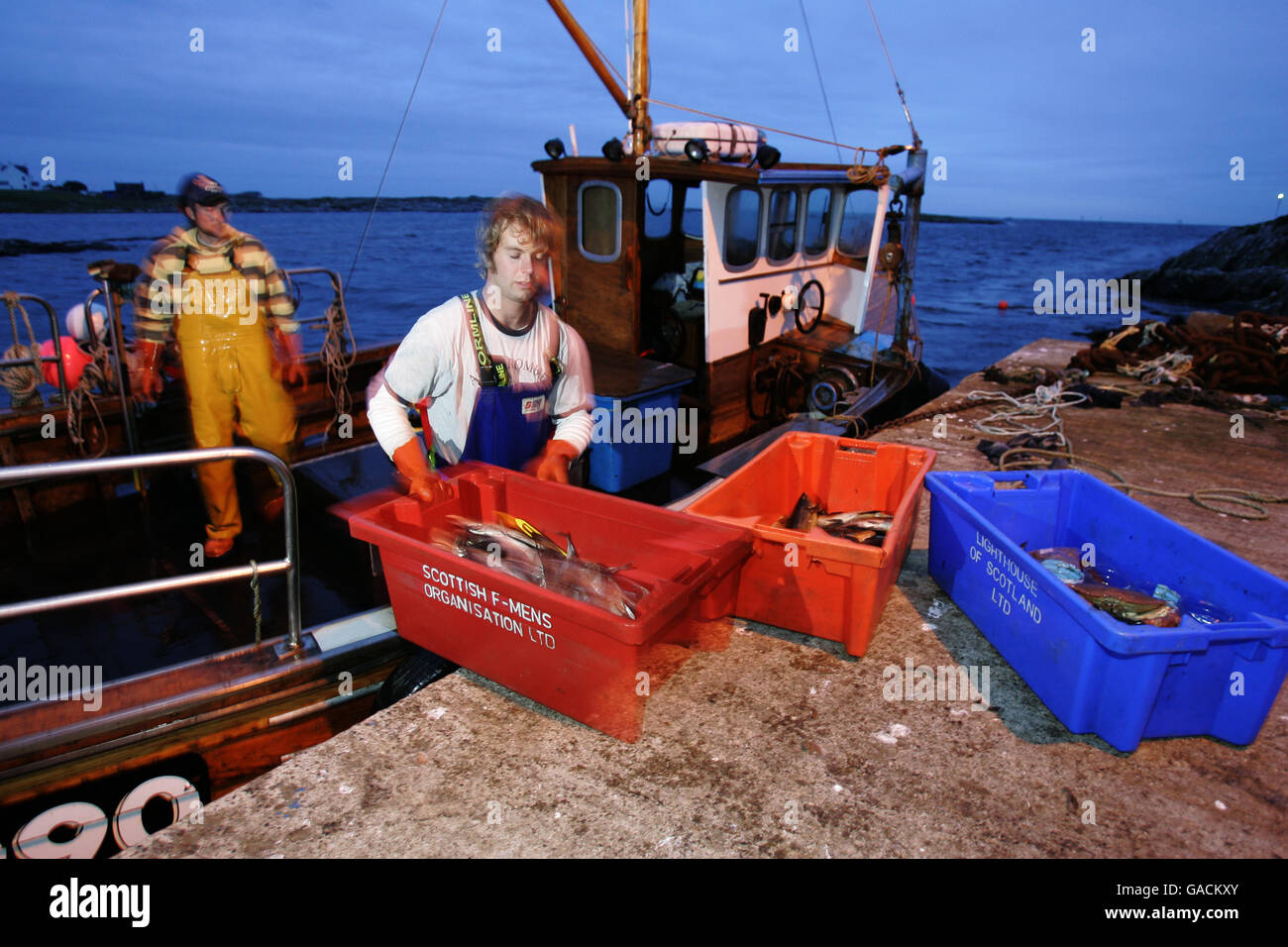 Pêcheur de homard Ross MacLennon Skipper du bateau « Carrie Anne » De Milton Harbour sur l'île de Tiree avec matelet William Walker (portant un chapeau) Débarquer leurs prises après la pêche dans l'océan Atlantique Banque D'Images