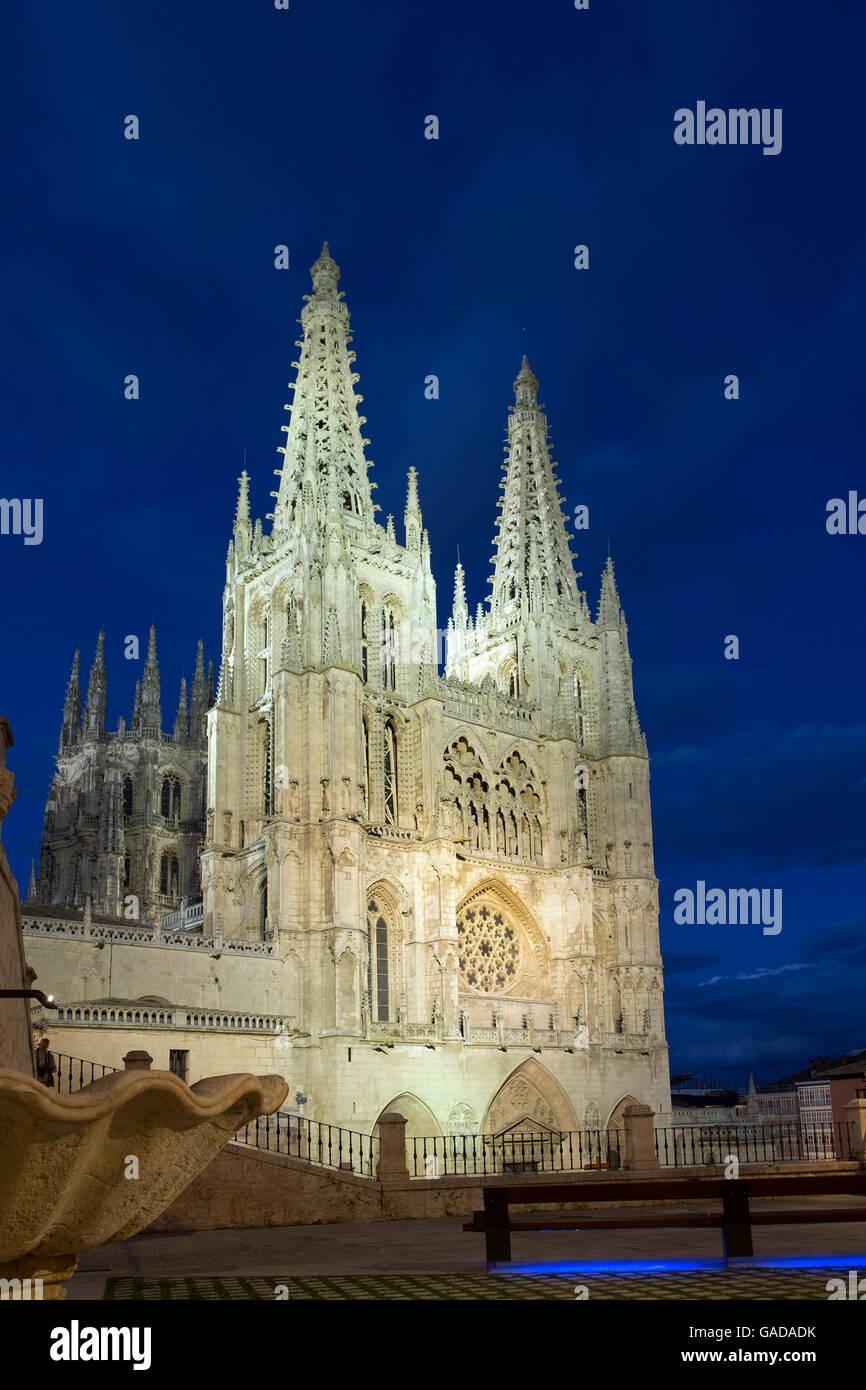 La cathédrale de Burgos Banque D'Images