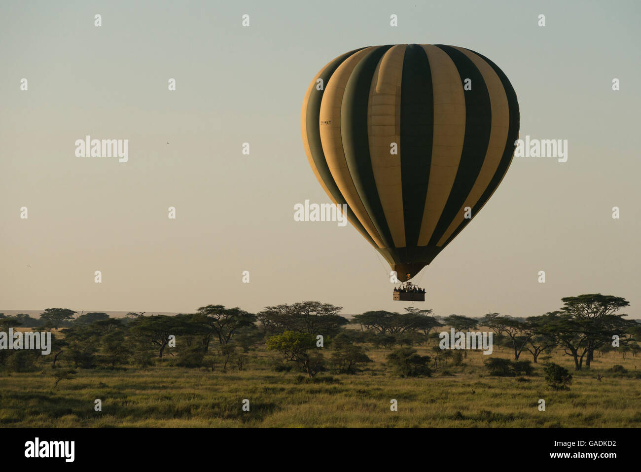 Balloon safari, Parc National de Serengeti, Tanzanie Banque D'Images