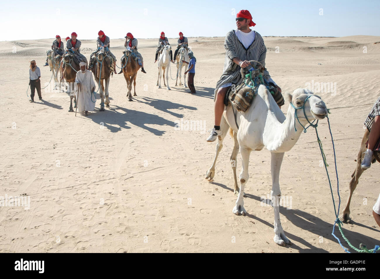 Des bédouins les touristes sur des chameaux à court-circuit touristique autour du début du désert du Sahara à Douz, Tunisie. Banque D'Images