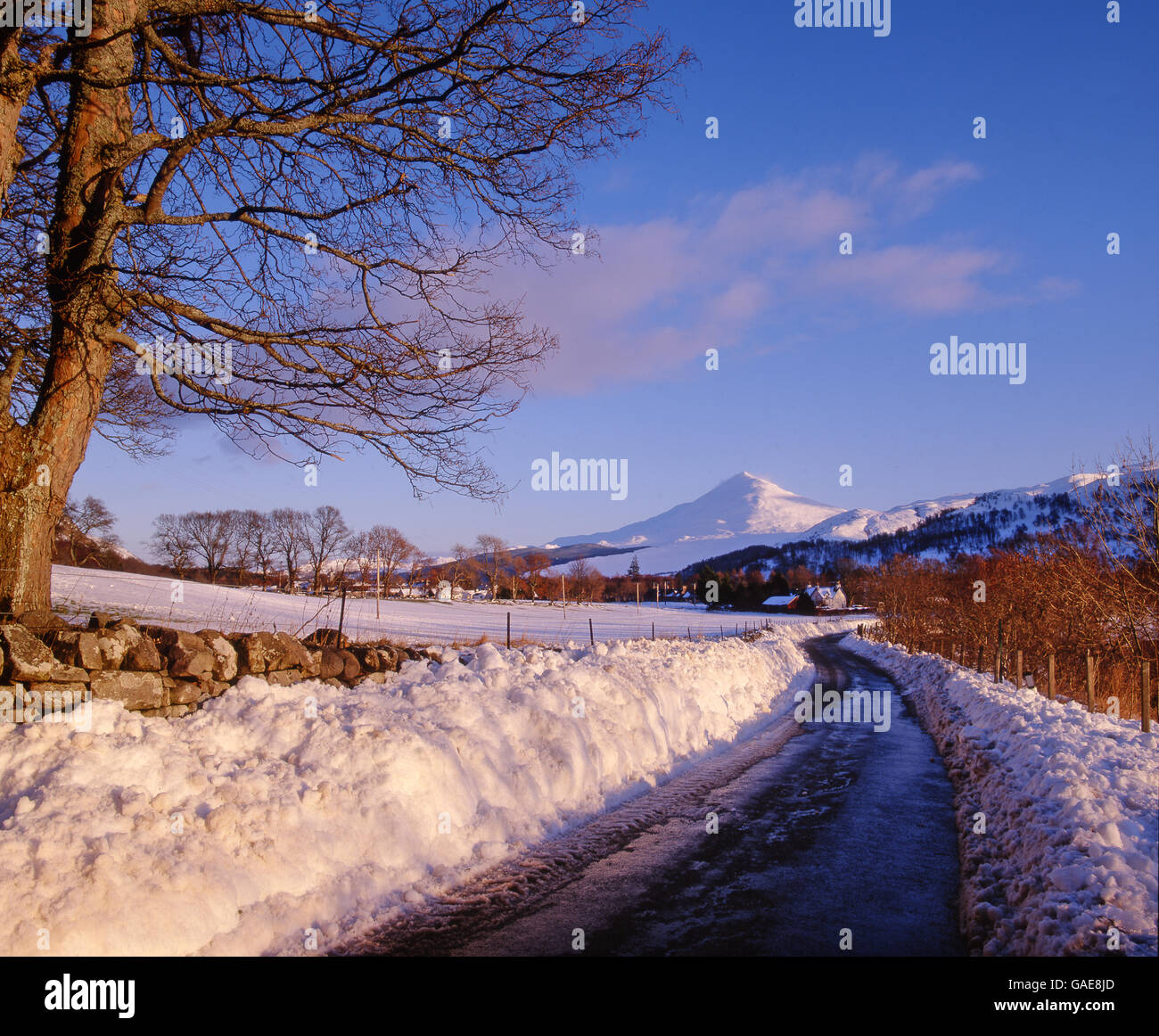 Vue d'hiver vers la Station House, Loch Rannoch, Perthshire Banque D'Images
