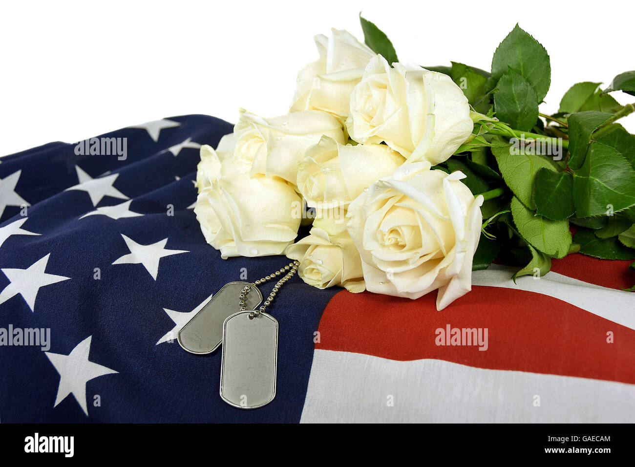 Tags chien militaire et blanches sur le drapeau américain. Banque D'Images