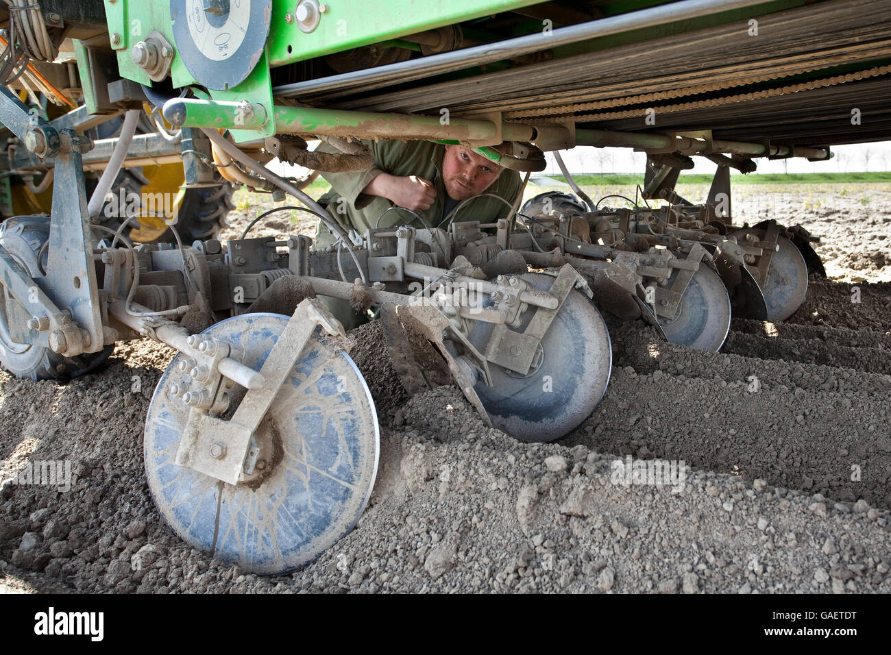 Farmer fixe son planteur de pommes de terre vert sur la terre où vous pouvez voir l'acier roues chormé. Banque D'Images