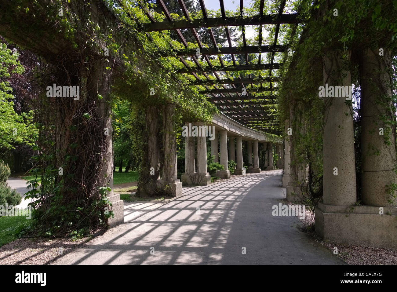 Breslau Pergola - Wroclaw Peergola dans le parc et de plantes grimpantes Banque D'Images