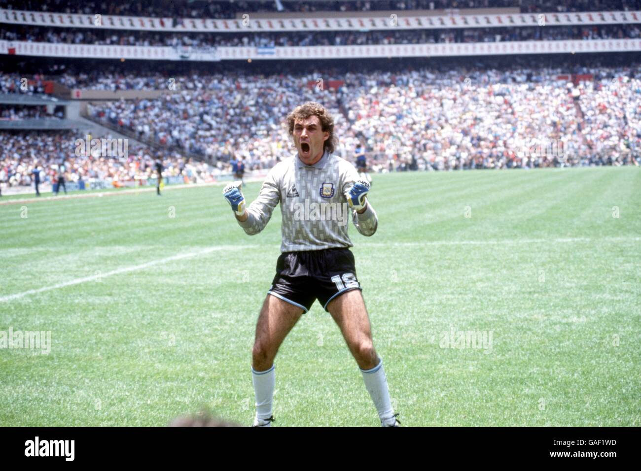 69 Coupe Du Monde De Football 1986 Stock Photos, High-Res Pictures, and