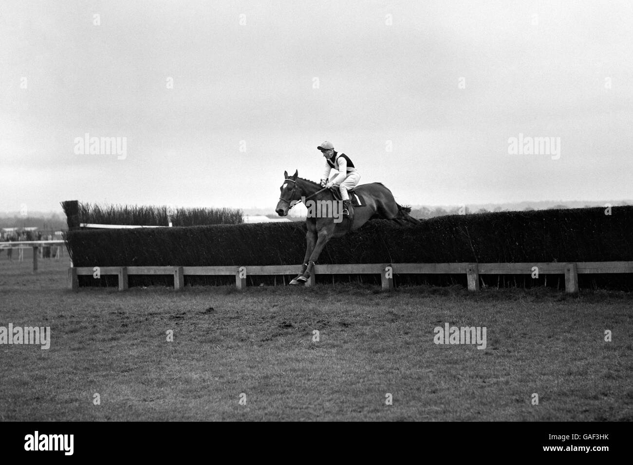 Sport - Equitation - Ascot.Le Mandarin handicap Steeplechase - W H Gollin's 'Mill House' prenant la dernière clôture. Banque D'Images