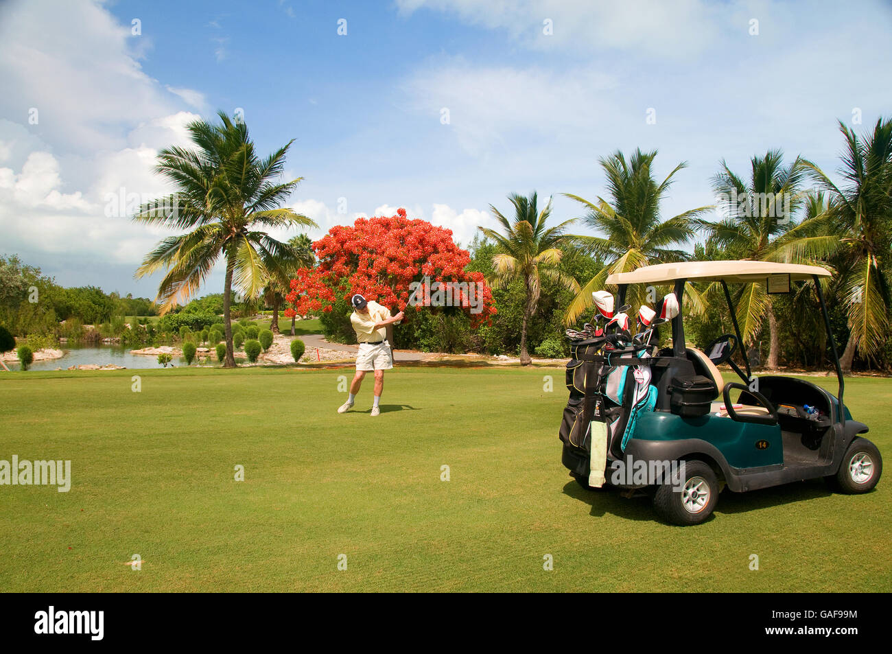 La magnifique île de Providenciales dans les îles Turks et Caicos offre un grand 18 trous Provo Golf Club bien sûr. Banque D'Images