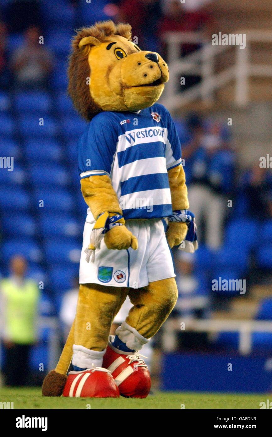 Football - Nationwide League Division One - Reading v Burnley. Kingsley Royal, mascotte de lecture Banque D'Images