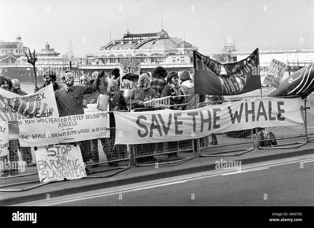 Les défenseurs de la nature des amis de la Terre vêtus de créatures marines manifestent à l'extérieur d'un hôtel de Brighton où la Commission baleinière internationale a commencé une réunion de deux jours pour fixer des limites de capture sur les cachalots. Banque D'Images
