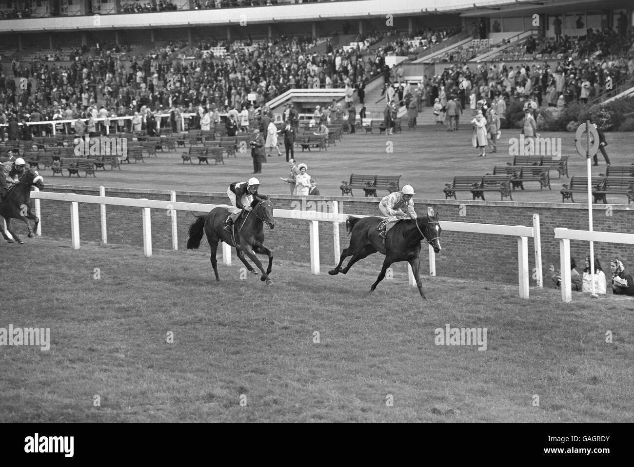 Les courses de chevaux - Hyperion - Royal Ascot Banque D'Images