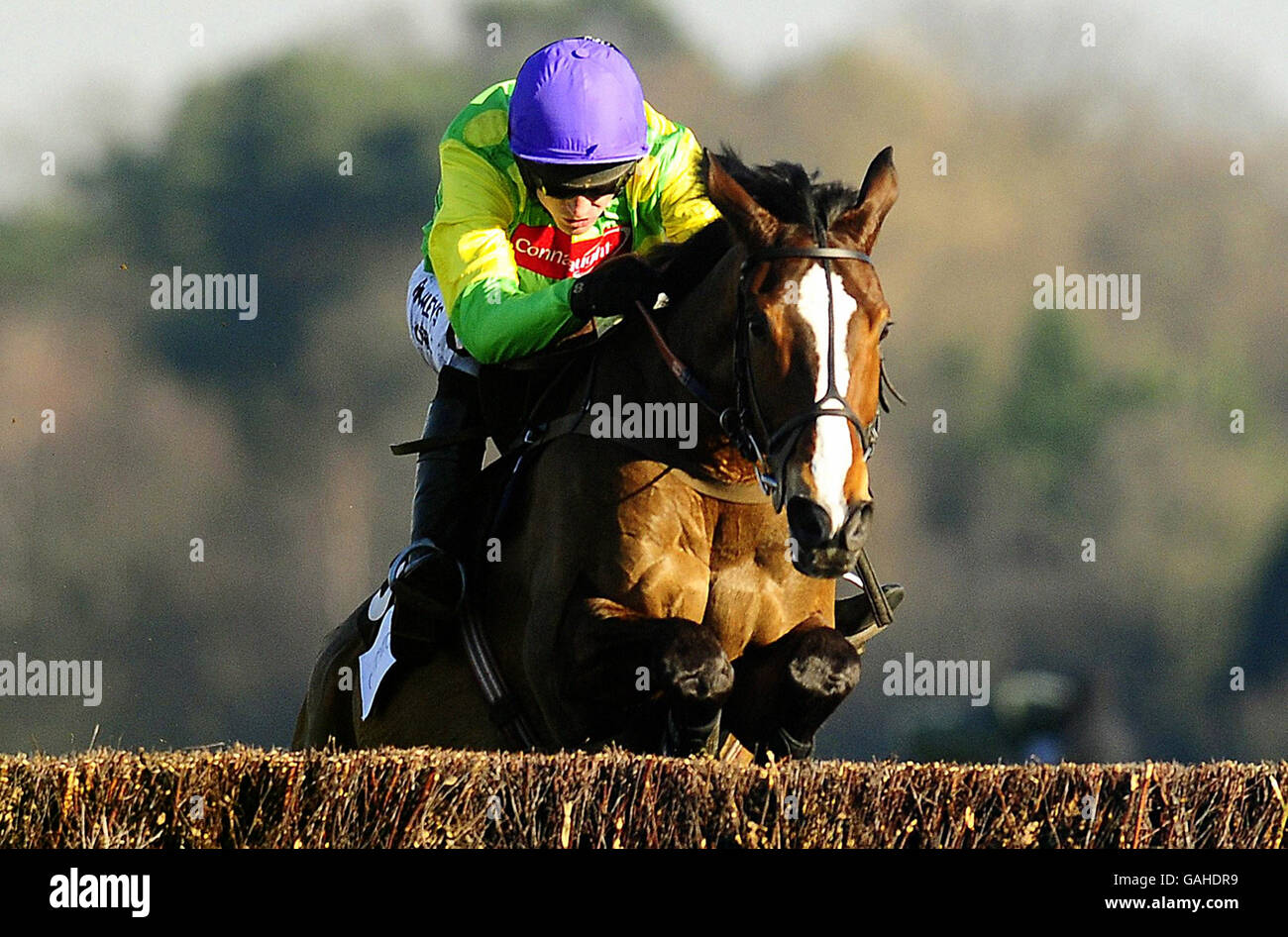 Horse Racing - Première journée commerciale Ascot Chase - Ascot Racecourse Banque D'Images