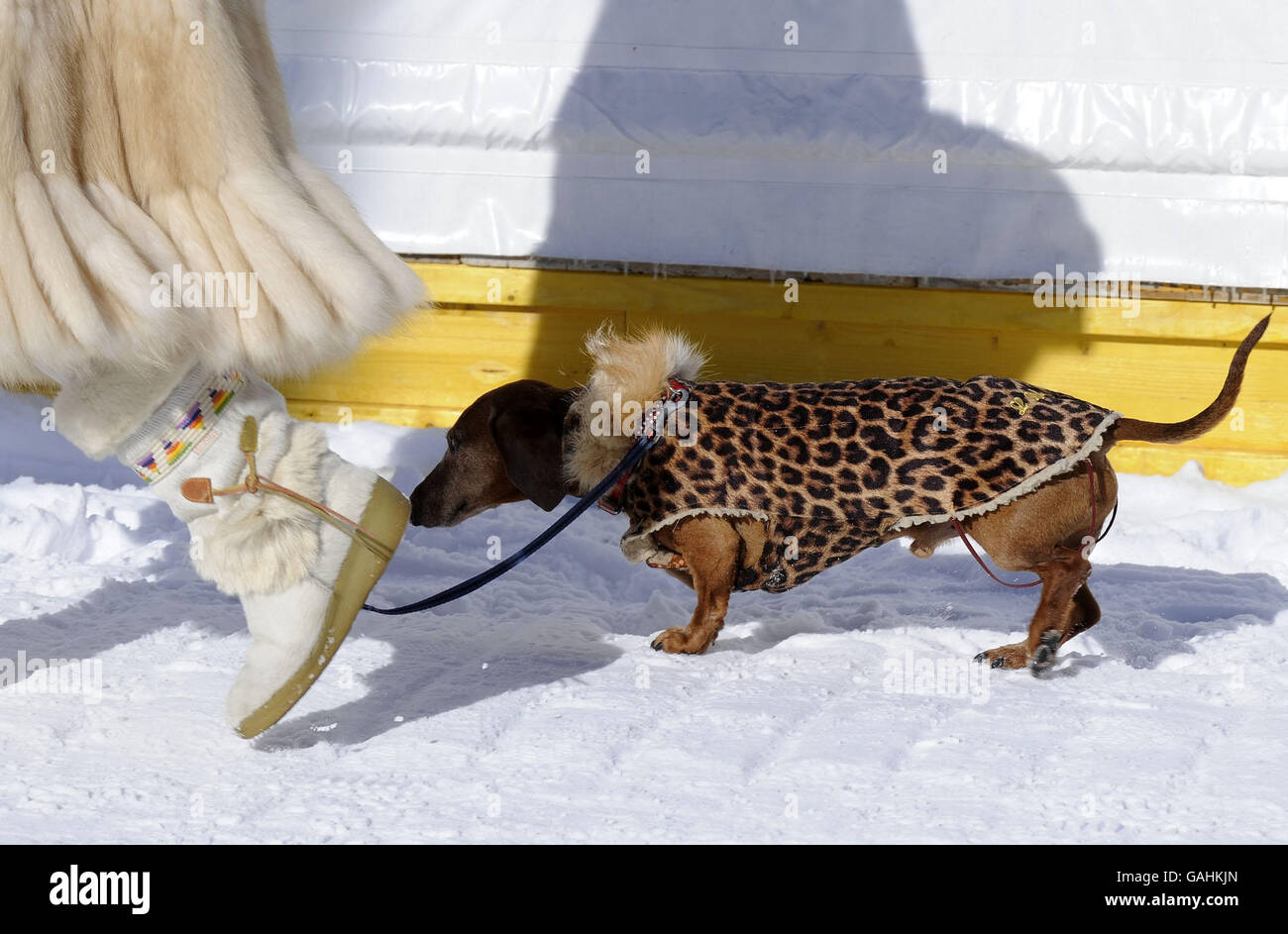 Course hippique - Turf blanc - St Moritz.Les spectateurs se rassemblent à St Moritz pour la première journée de course de White Turf en 2008. Banque D'Images