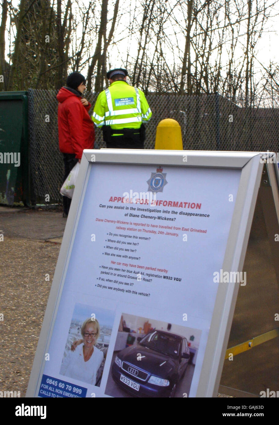 La police a utilisé les deux semaines d'anniversaire d'aujourd'hui depuis qu'un maquilleur de télévision a été signalé comme manquant, pour renouveler leur appel public pour les observations d'elle à la gare de East Grinstead. Un tableau présentant une photo de Diane Chenery-Wickens et sa voiture bleue Audi A4 est exposé dans une tentative de jogging des souvenirs des gens. Banque D'Images