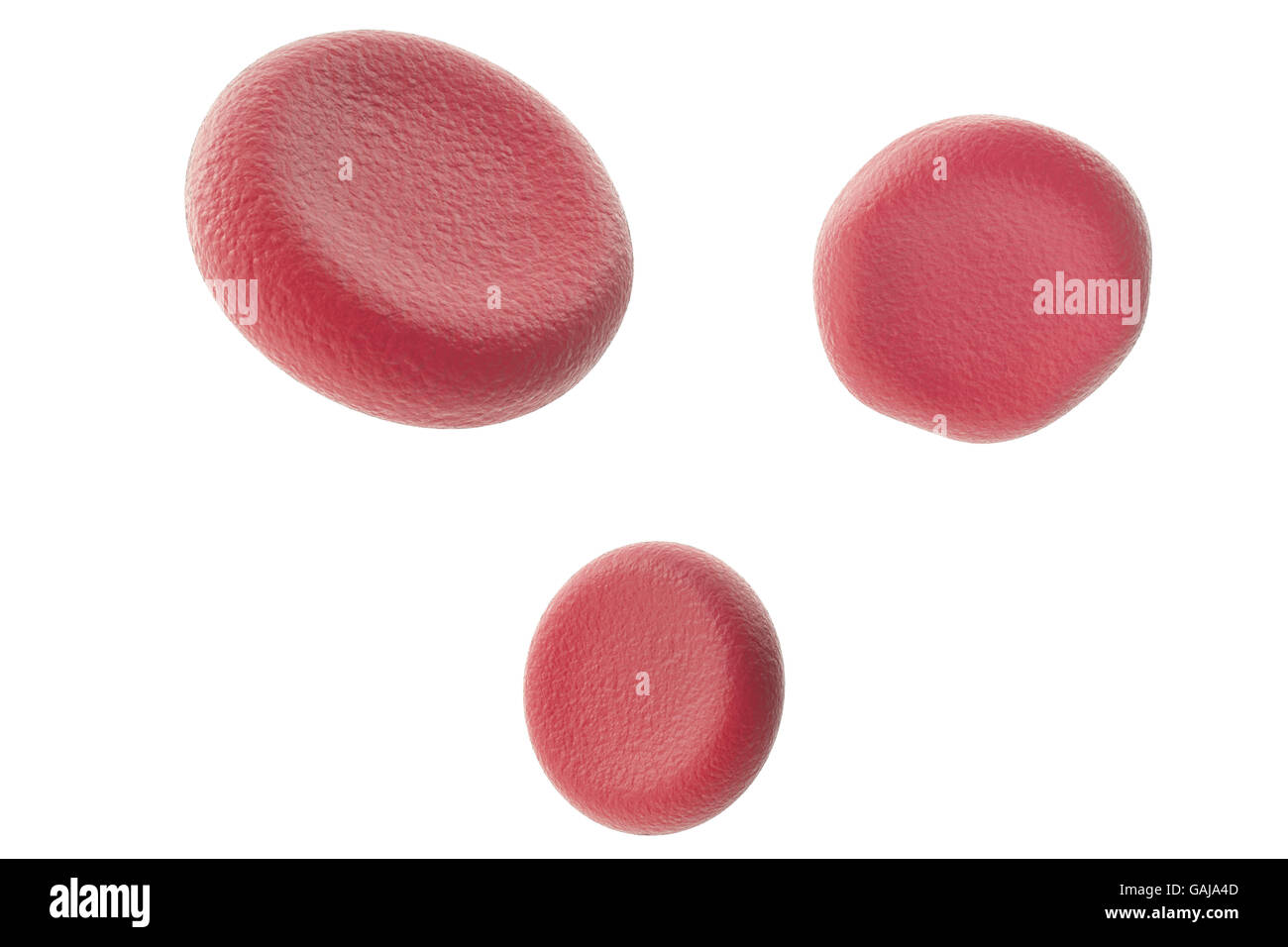 Les cellules de sang rouge isolé sur fond blanc. 3d illustration Banque D'Images