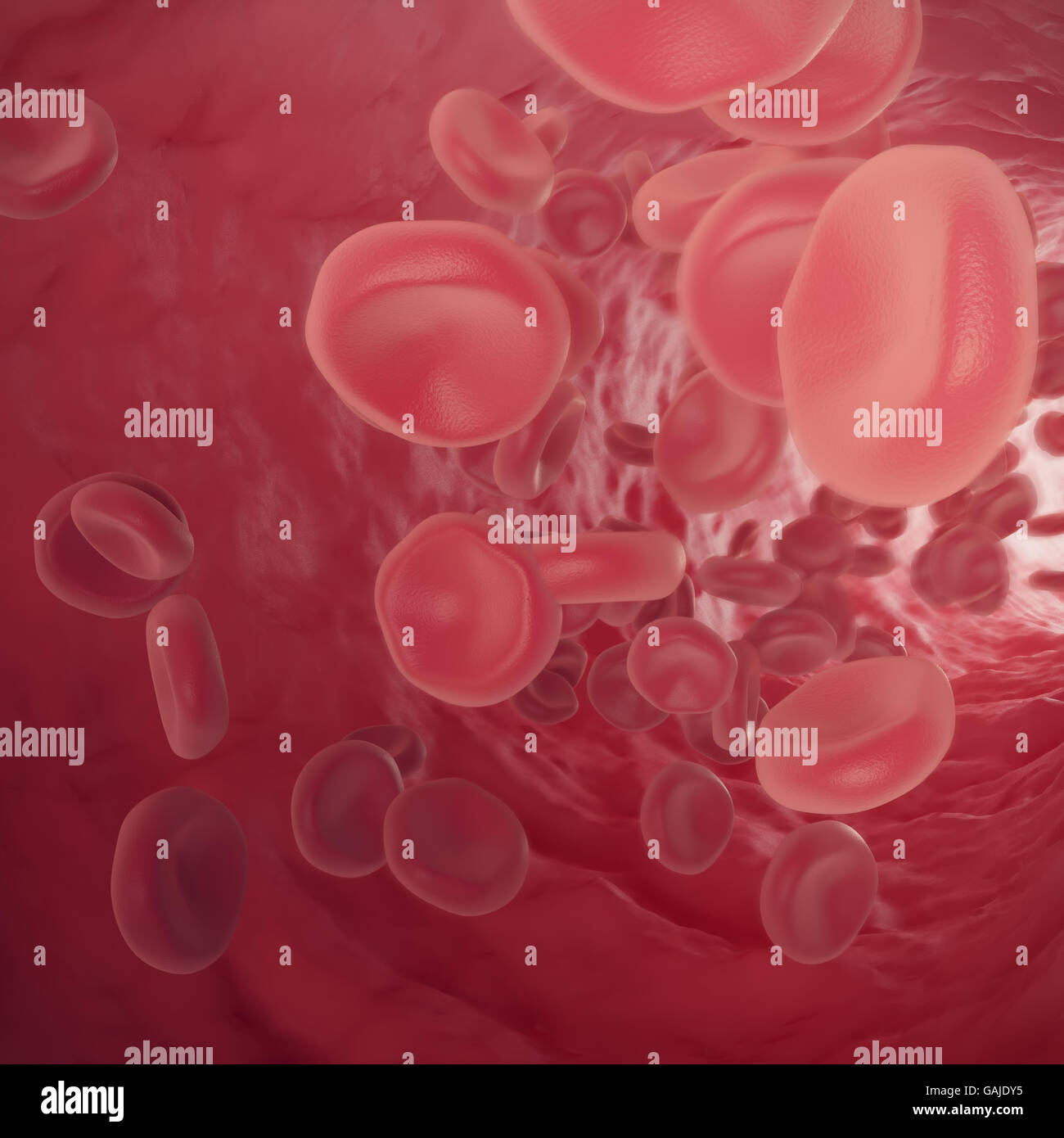 Les cellules rouges du sang dans la veine avec la profondeur de champ. 3d illustration Banque D'Images