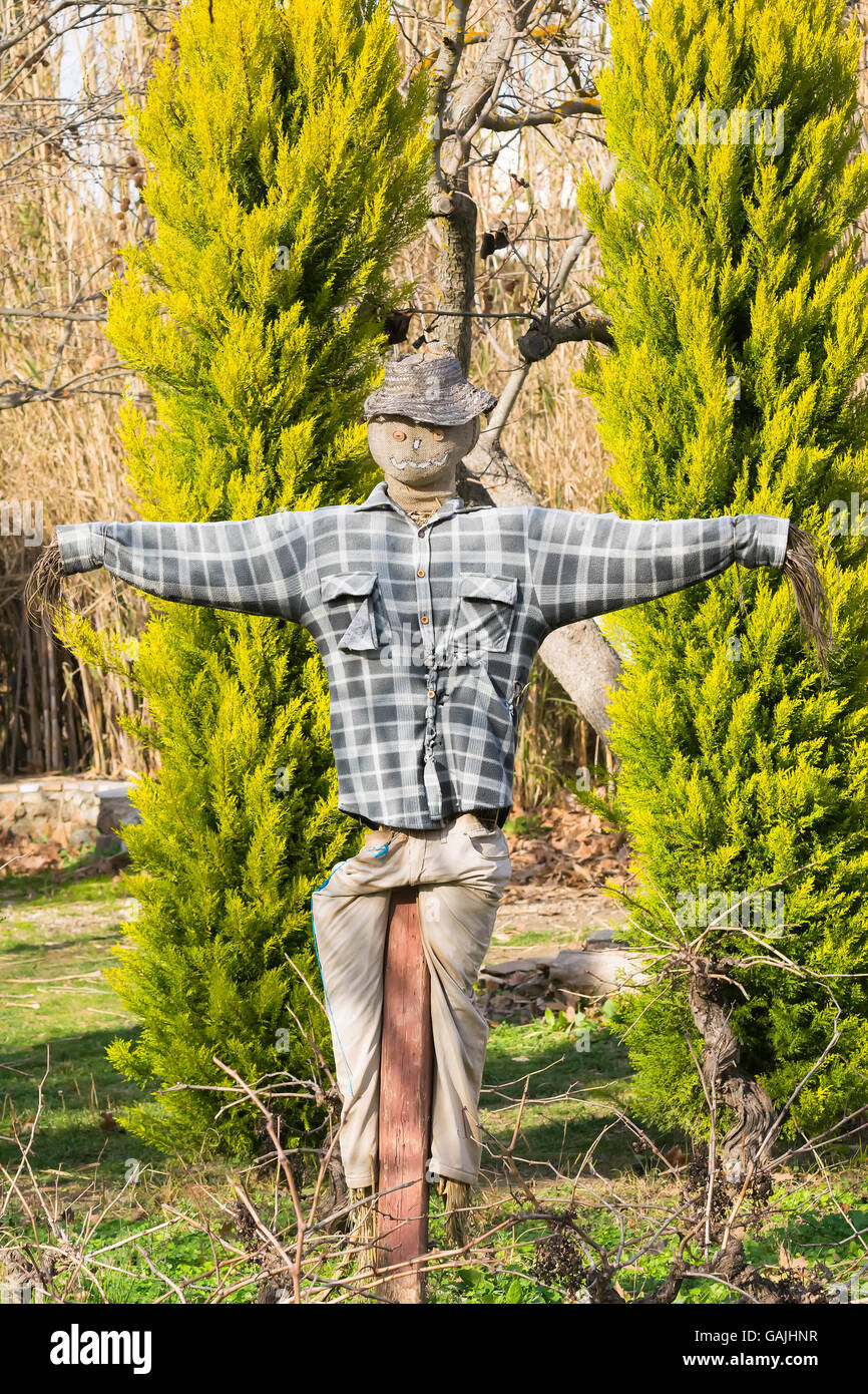 Ancien épouvantail dans un parc portant un t-shirt. Banque D'Images