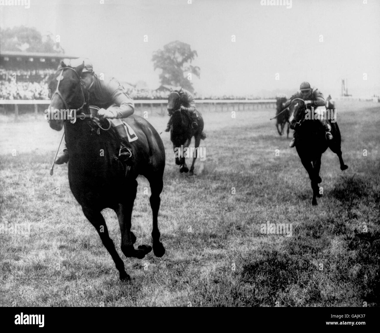 Les courses de chevaux - Alexandra Park Banque D'Images