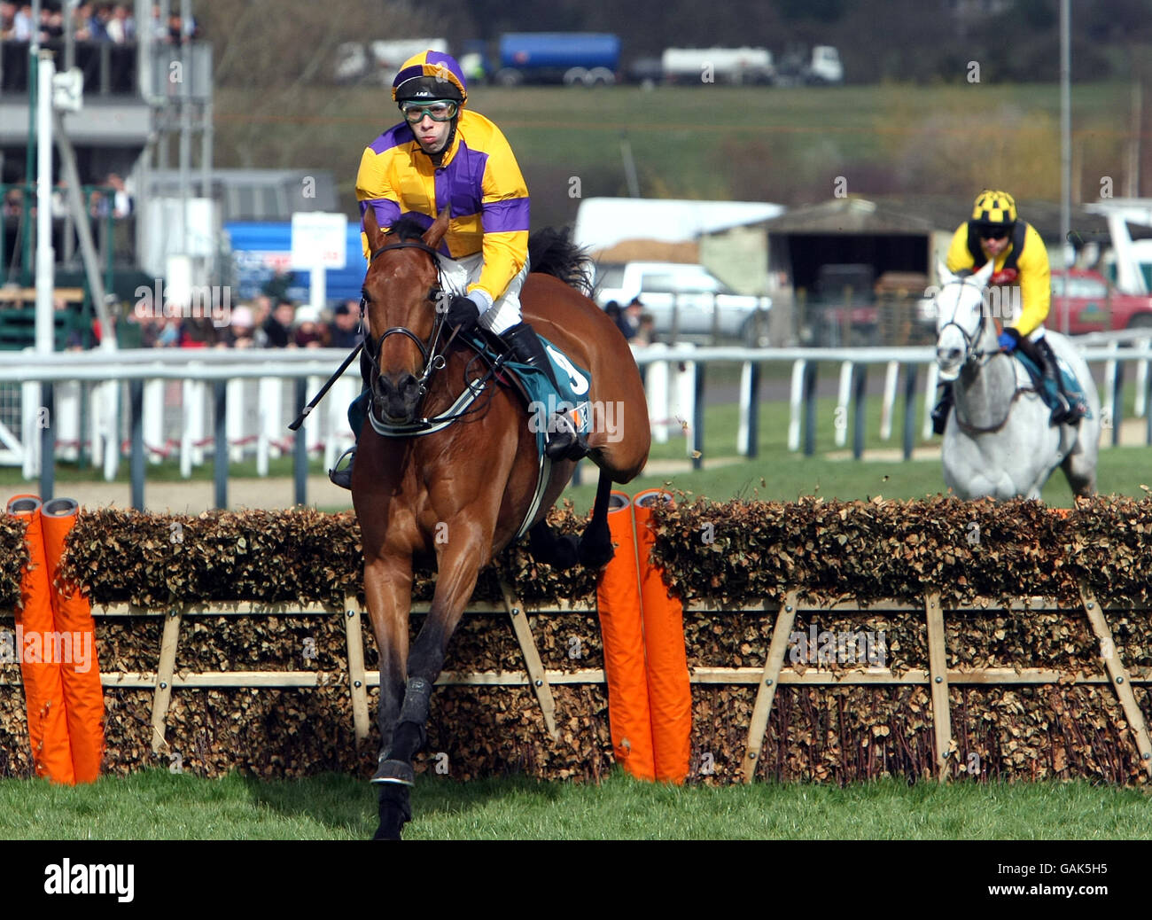 Les courses de chevaux - Cheltenham Festival - Jour 1 - l'Hippodrome de Cheltenham Banque D'Images