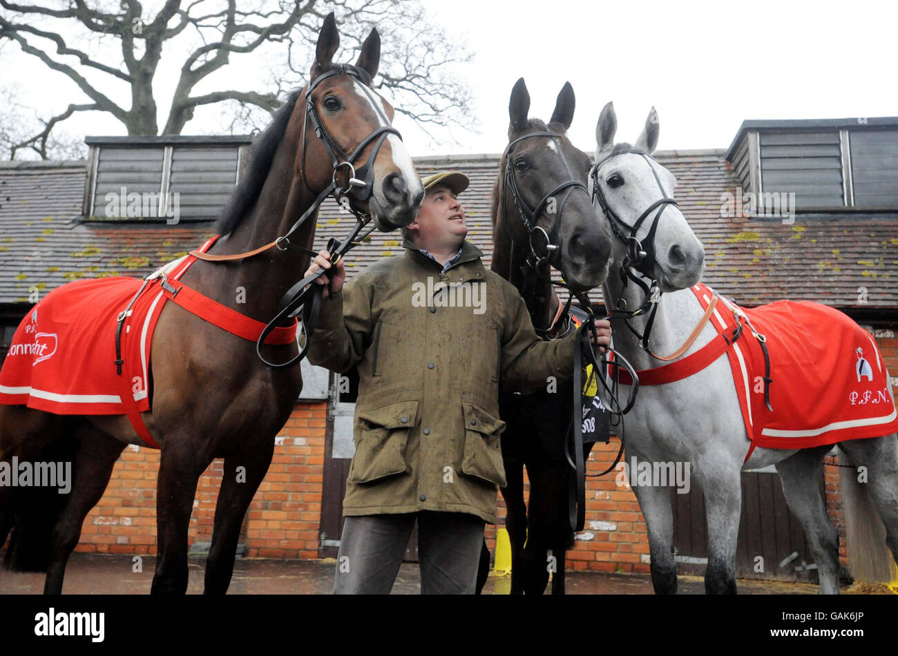 L'entraîneur Paul Nicholls avec son trio de coupe d'or Cheltenham Kauto Star (à gauche), Denman (au centre) et Neptune Collonges dans ses écuries de Ditcheat, Shepton Mallet, Somerset. Banque D'Images