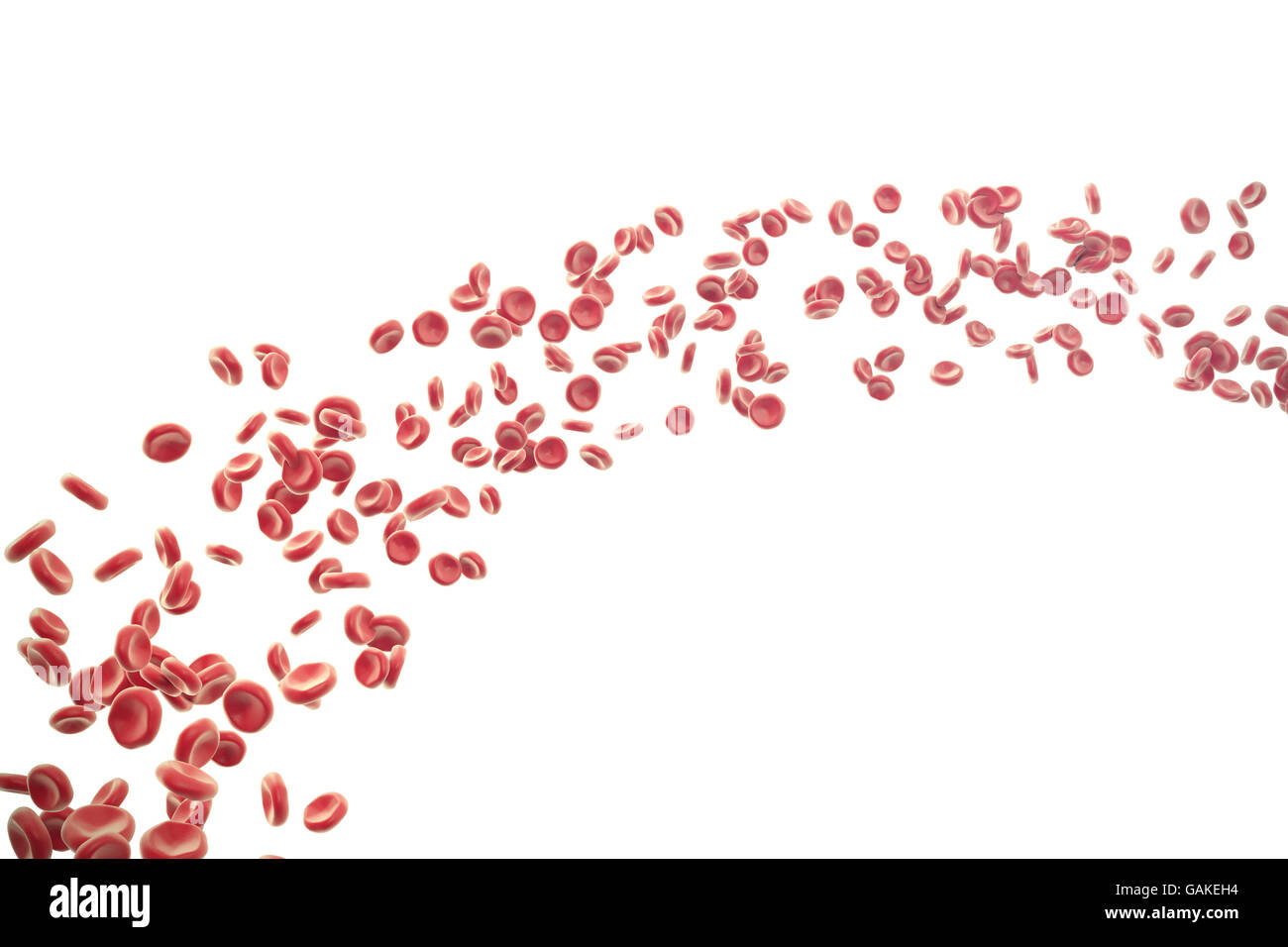 Illustration des globules rouges isolé sur fond blanc. Banque D'Images