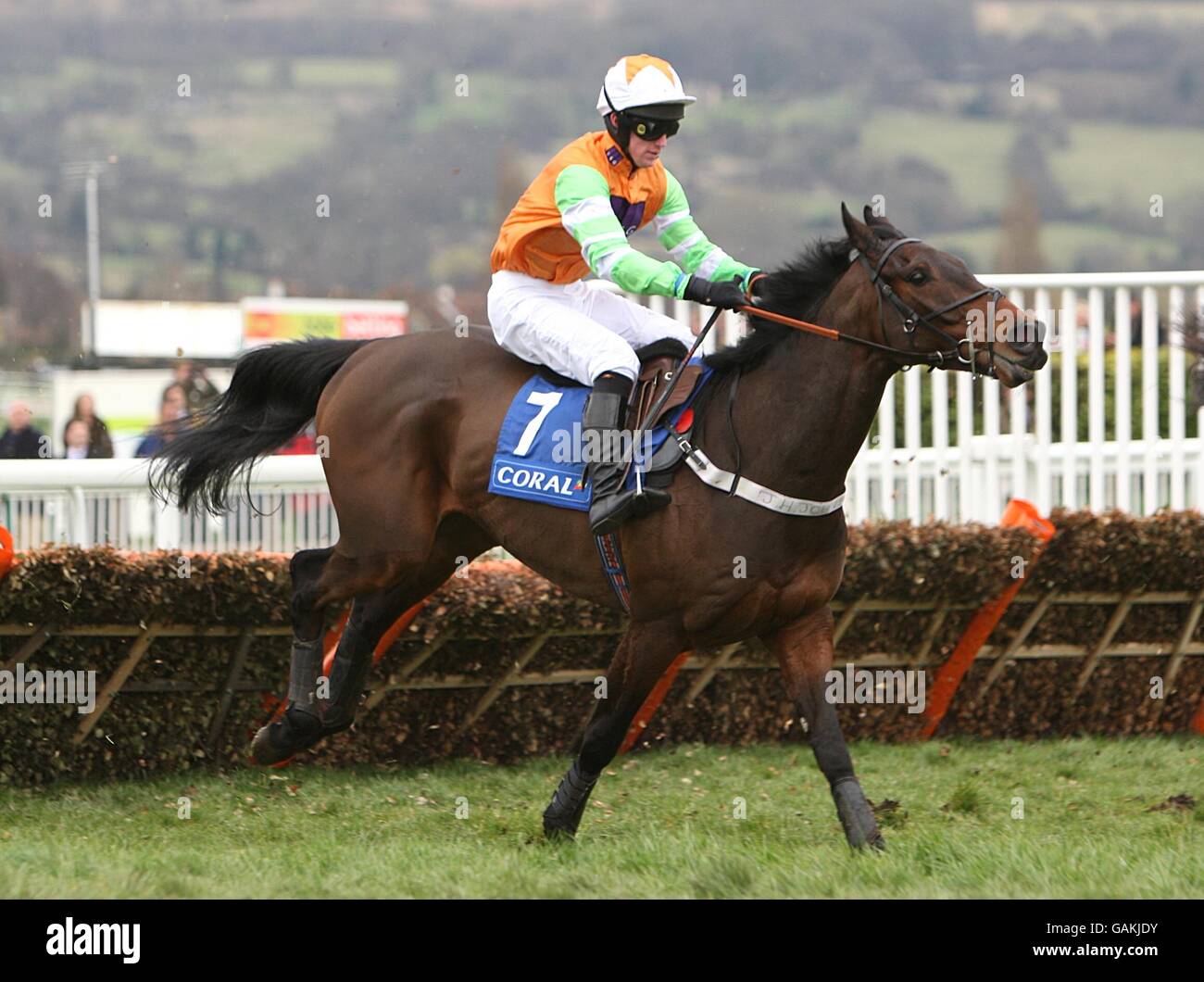 Astarador monté par Paul Benson dans la coupe de corail 13.40 Obstacle pour les handicapés pendant le Cheltenham Festival Banque D'Images