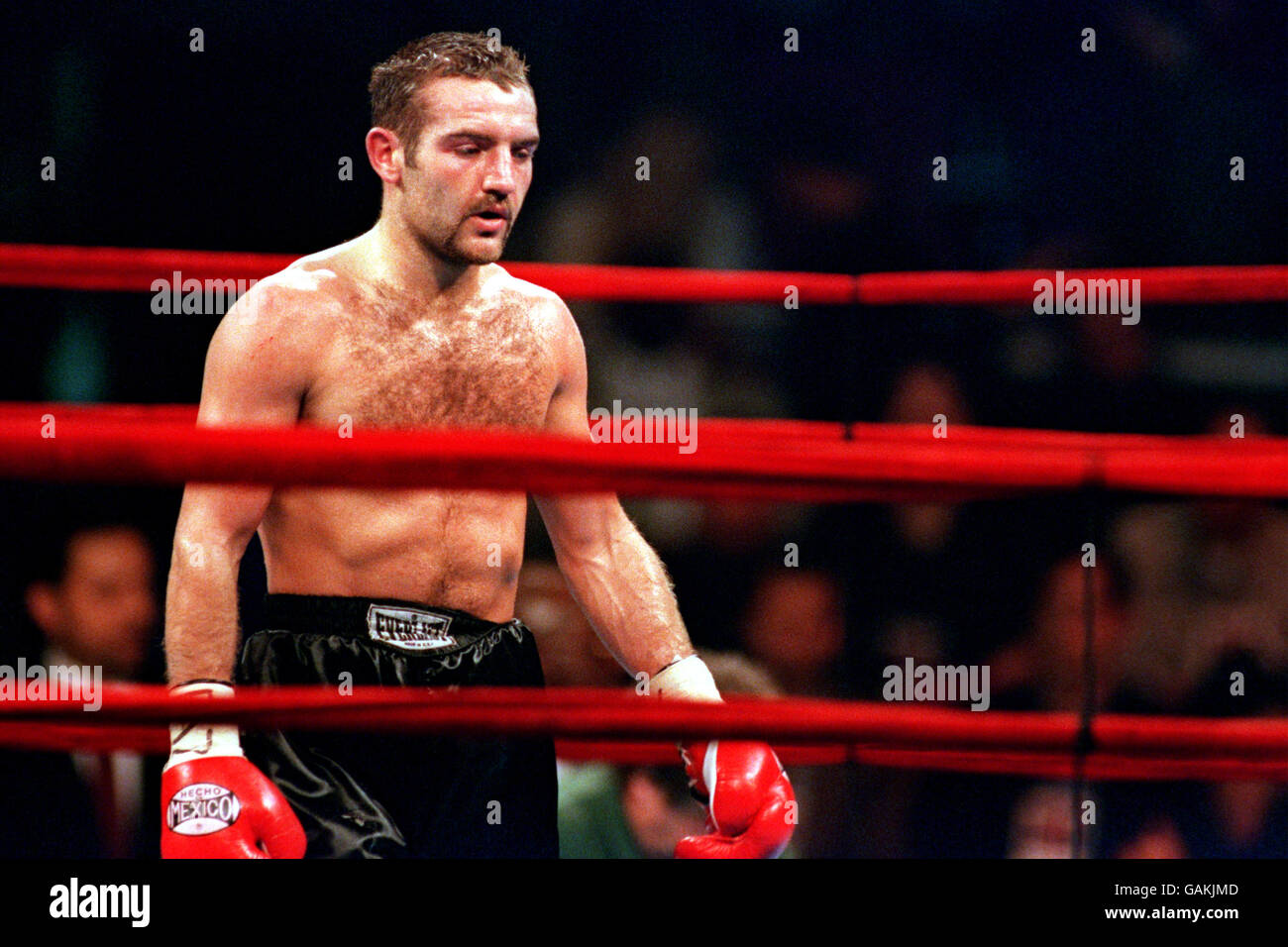 Boxe - Scott Harrison / Tracy Patterson - Madison Square Garden, New York. Scott Harrison Banque D'Images