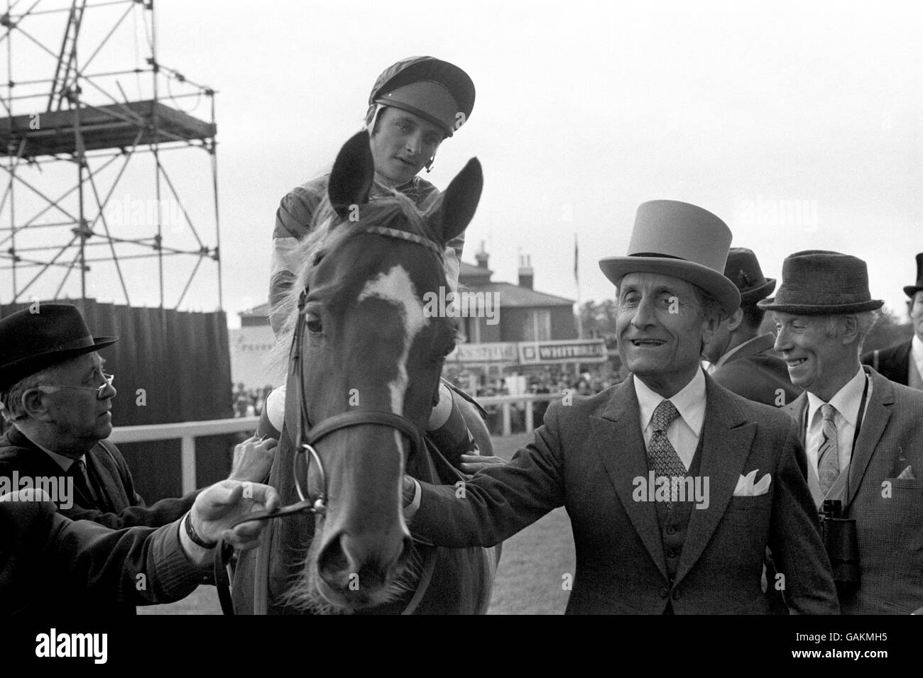 Grundy, formé en anglais, dirigé par son heureux propriétaire italien, le Dr Carlo Vittadini, après avoir remporté le plus riche concours Epsom derby aujourd'hui. Grundy avait gagné une victoire décisive sur Nobilary français en fianlage, avec Hunza Dancer troisième. Banque D'Images