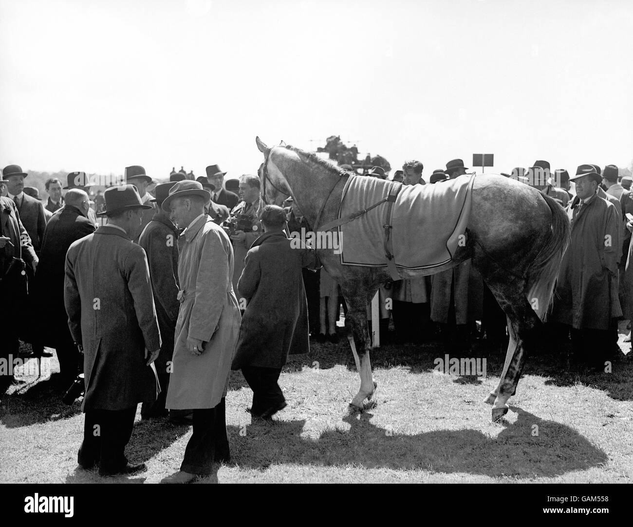 Les courses de chevaux - le Derby d'Epsom - 1946 Banque D'Images