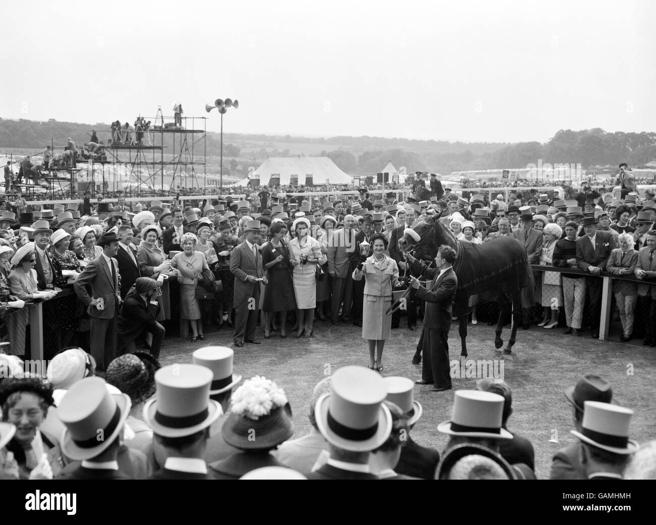 Une ravie Mme Arpad Plesch avec son vainqueur du Derby 1961 'Psidium' et le trophée d'or après l'outsider 66-1 a gagné la course. Banque D'Images Une ravie Mme Arpad Plesch avec son vainqueur du Derby 1961 'Psidium' et le trophée d'or après l'outsider 66-1 a gagné la course. Banque D'Images