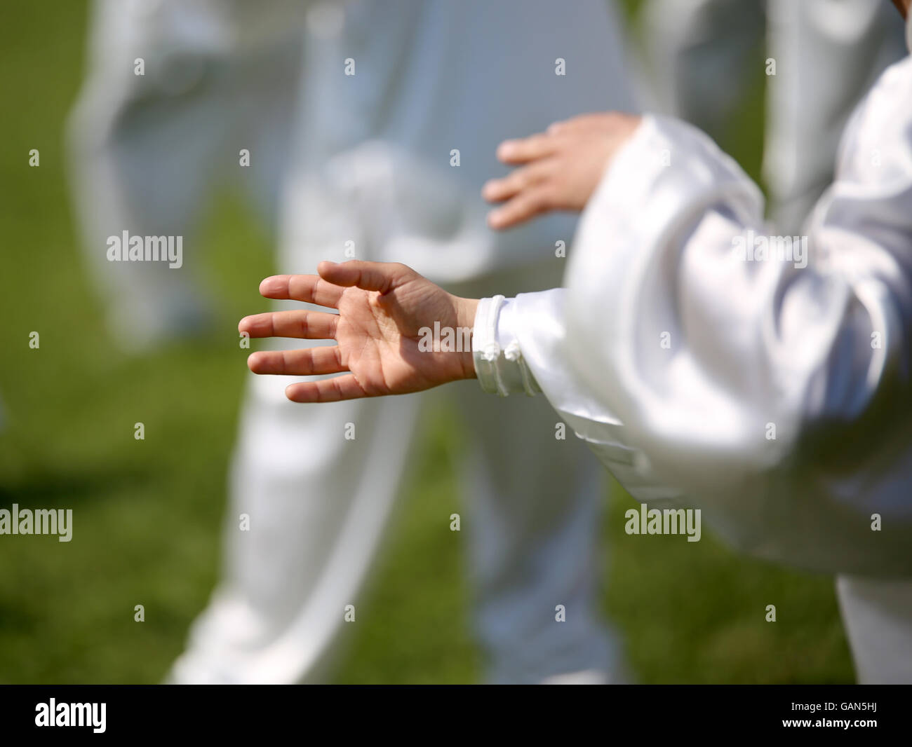 Main de maître d'arts martiaux Tai Chi au cours de l'exposition dans un parc public Banque D'Images