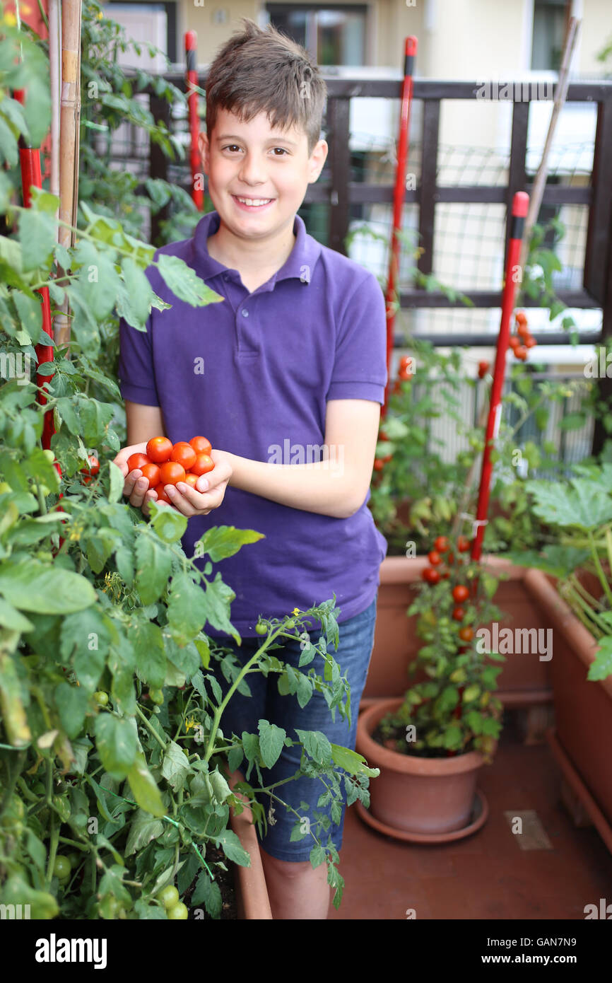 Enfant souriant dans son jardin urbain avec tomates rouges dans la plante en pot sur la terrasse de la chambre Banque D'Images